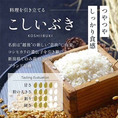 【令和7年産 】新潟県産 こしいぶき 2kg 精米 新潟 の美味しい お米