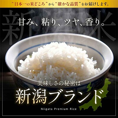 【令和7年産 】新潟県産 こしいぶき 2kg 精米 新潟 の美味しい お米