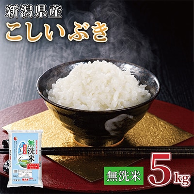 【令和7年産 新米】新潟県産 こしいぶき 5kg 無洗米 新潟 の美味しい お米