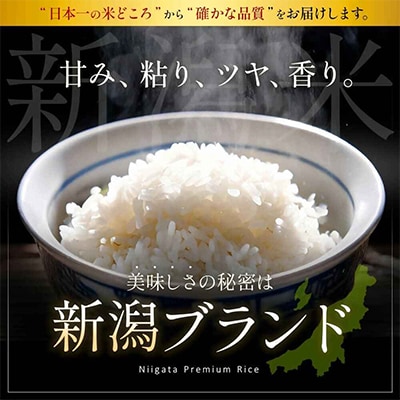 【令和7年産 】新潟県産 こしいぶき 2kg 無洗米 新潟 の美味しい お米
