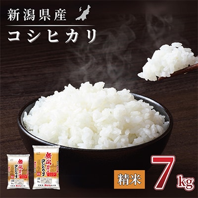 【令和7年産】新潟県産 コシヒカリ 7kg(精米)