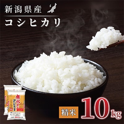 【令和7年産 新米】新潟県産 コシヒカリ 10kg(5kg×2袋) 精米 新潟 の美味しい お米
