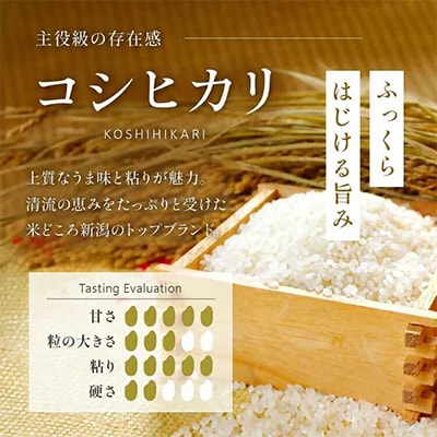 新潟県産 精米 4kg 極み 食べ比べセット( コシヒカリ × こしいぶき ) 各 2kg