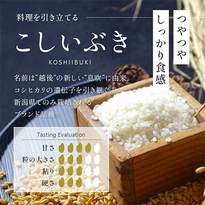 新潟県産 精米 4kg 極み 食べ比べセット( コシヒカリ × こしいぶき ) 各 2kg