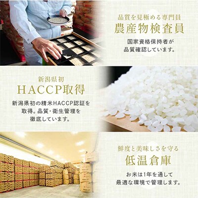 新潟県産 精米 4kg 極み 食べ比べセット( コシヒカリ × こしいぶき ) 各 2kg