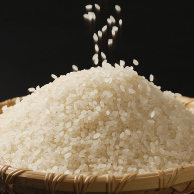 新潟県産 精米 10kg 極み 食べ比べセット( コシヒカリ × こしいぶき ) 各 5kg