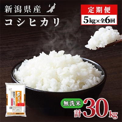 【毎月定期便】新潟県産 コシヒカリ(無洗米) 5kg【計30kg】全6回