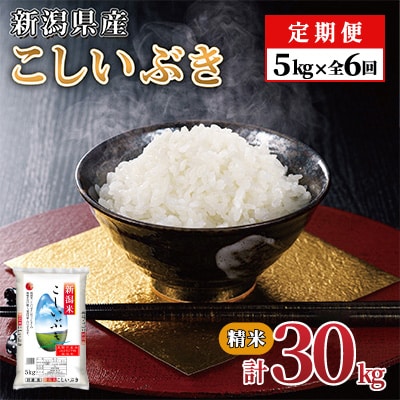 【毎月定期便】新潟県産 こしいぶき(精米) 5kg【計30kg】全6回