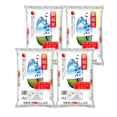 【毎月定期便】新潟県産 こしいぶき(精米) 8kg【計24kg】全3回