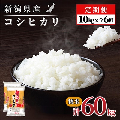 【毎月定期便】新潟県産 コシヒカリ(精米) 10kg(5kg×2袋)【計60kg】全6回
