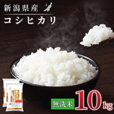 【毎月定期便】【6か月定期便】新潟県産 コシヒカリ 10kg (無洗米)全6回