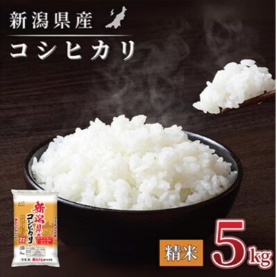 【毎月定期便】【6か月定期便】新潟県産 コシヒカリ 5kg (精米)全6回