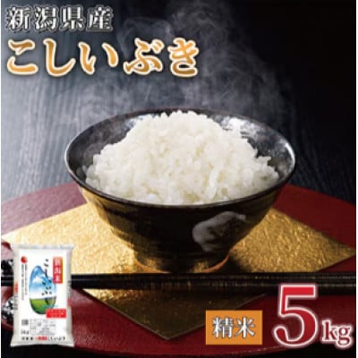 【毎月定期便】【6か月定期便】新潟県産 こしいぶき 5kg (精米)全6回