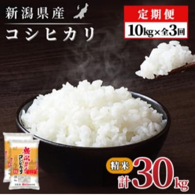 【毎月定期便】【3か月定期便】新潟県産 コシヒカリ 10kg (精米)全3回