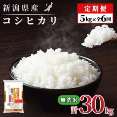 【毎月定期便】【6か月定期便】新潟県産 コシヒカリ 5kg (無洗米)全6回