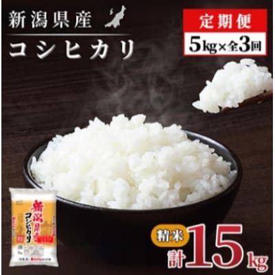 【毎月定期便】【3か月定期便】新潟県産 コシヒカリ 5kg (精米)全3回