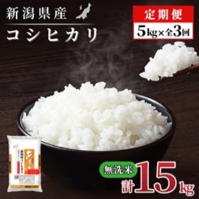 【毎月定期便】【3か月定期便】新潟県産 コシヒカリ 5kg (無洗米)全3回