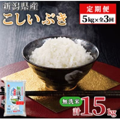 【毎月定期便】【3か月定期便】新潟県産 こしいぶき 5kg (無洗米)全3回