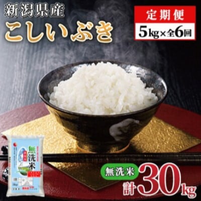 【毎月定期便】【6か月定期便】新潟県産 こしいぶき 5kg (無洗米)全6回