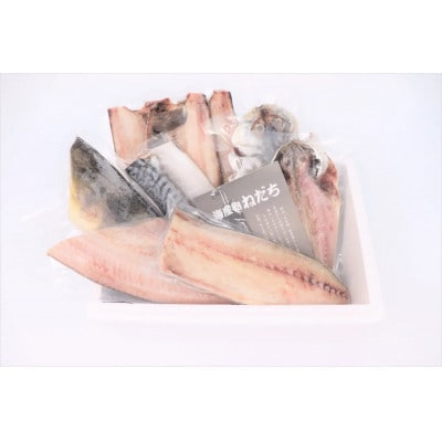 ねだち　一夜干し詰合せ