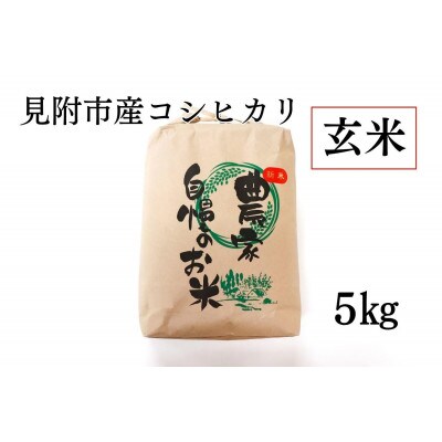 【玄米】新潟県 見附市産コシヒカリ 5kg