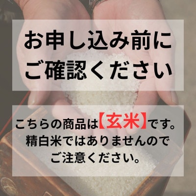 【玄米】新潟県 見附市産コシヒカリ 5kg