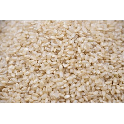 【玄米】新潟県 見附市産コシヒカリ 5kg