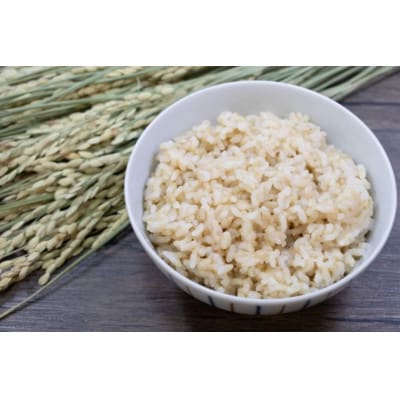 【玄米】新潟県 見附市産コシヒカリ 5kg