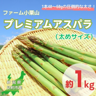 こぐりやまプレミアムアスパラ1kg(太めサイズ)