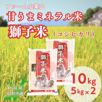 【令和7年産】甘うまミネラル米 獅子米(コシヒカリ) 精米 10kg(5kg×2袋)