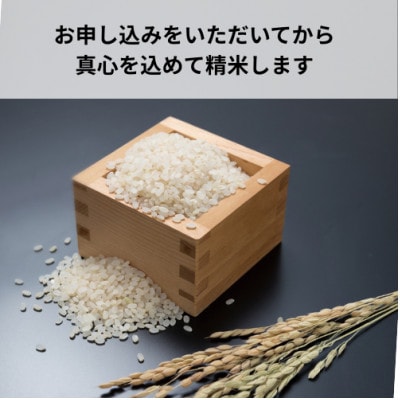 【令和7年産】甘うまミネラル米 獅子米(コシヒカリ) 精米 10kg(5kg×2袋)