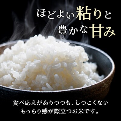 ホクレンゆめぴりか　無洗米5kg[No.5613-0148]