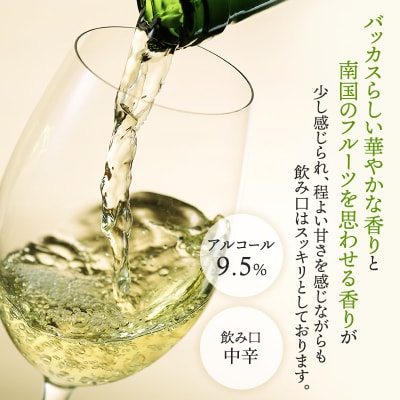 NEIRO2025 白ワイン 750ml×1本[No.5613-0704]