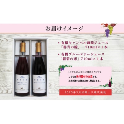 【先行受付】有機キャンベル・ブルーベリージュース飲み比べ710ml×2本[No.5613-0854]