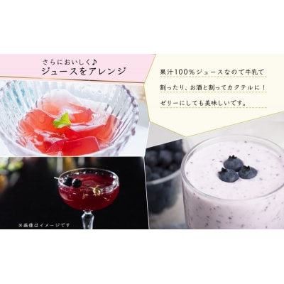 有機キャンベル・ブルーベリージュース飲み比べ710ml×2本[No.5613-0854]