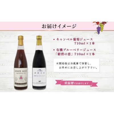 有機キャンベル・ブルーベリージュース飲み比べ710ml×2本[No.5613-0854]