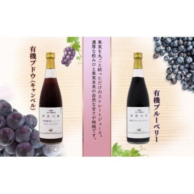 【先行受付】有機キャンベル・ブルーベリージュース飲み比べ710ml×2本[No.5613-0861]