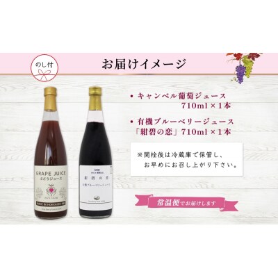 有機キャンベル・ブルーベリージュース飲み比べ710ml×2本[No.5613-0861]