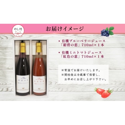 有機ブルーベリー・ミニトマトジュース飲み比べ710ml×2本[No.5613-0862]