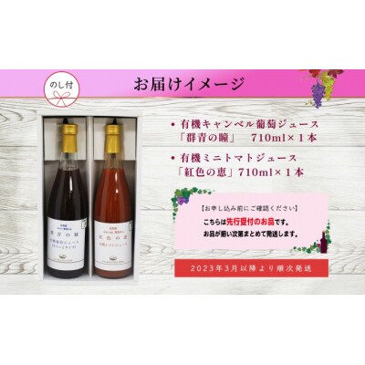 【先行受付】有機キャンベル・ミニトマトジュース飲み比べ710ml×2本[No.5613-0863]