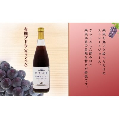 【先行受付】有機キャンベル　ブドウジュース710ml×2本[No.5613-0866]