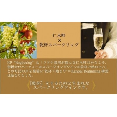 スパークリングワイン KP”Beginning" 750ml×1本[No.5613-0758]