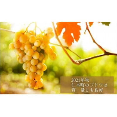 スパークリングワイン KP”Beginning" 750ml×1本[No.5613-0758]