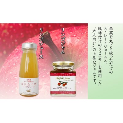 無地熨斗 リンゴジャム180g 2個 リンゴジュース180ml 6本[No.5613-0965]