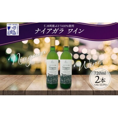 ナイアガラぶどうワイン720ml×2本[No.5613-0970]