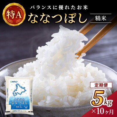 【定期便10回】ホクレンななつぼし　精米5kg[No.5613-0321]