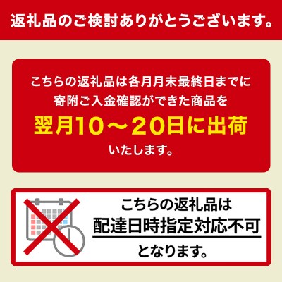 【定期便10回】ホクレンななつぼし　無洗米5kg[No.5613-0329]