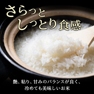 【定期便10回】ホクレンななつぼし　無洗米5kg[No.5613-0329]