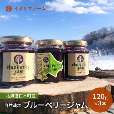 仁木町iori farmブルーベリージャム 120g×3本[No.5613-0408]