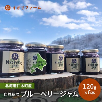 北海道仁木町産 ブルーベリージャム 120g×6本 [No.5613-0409]
